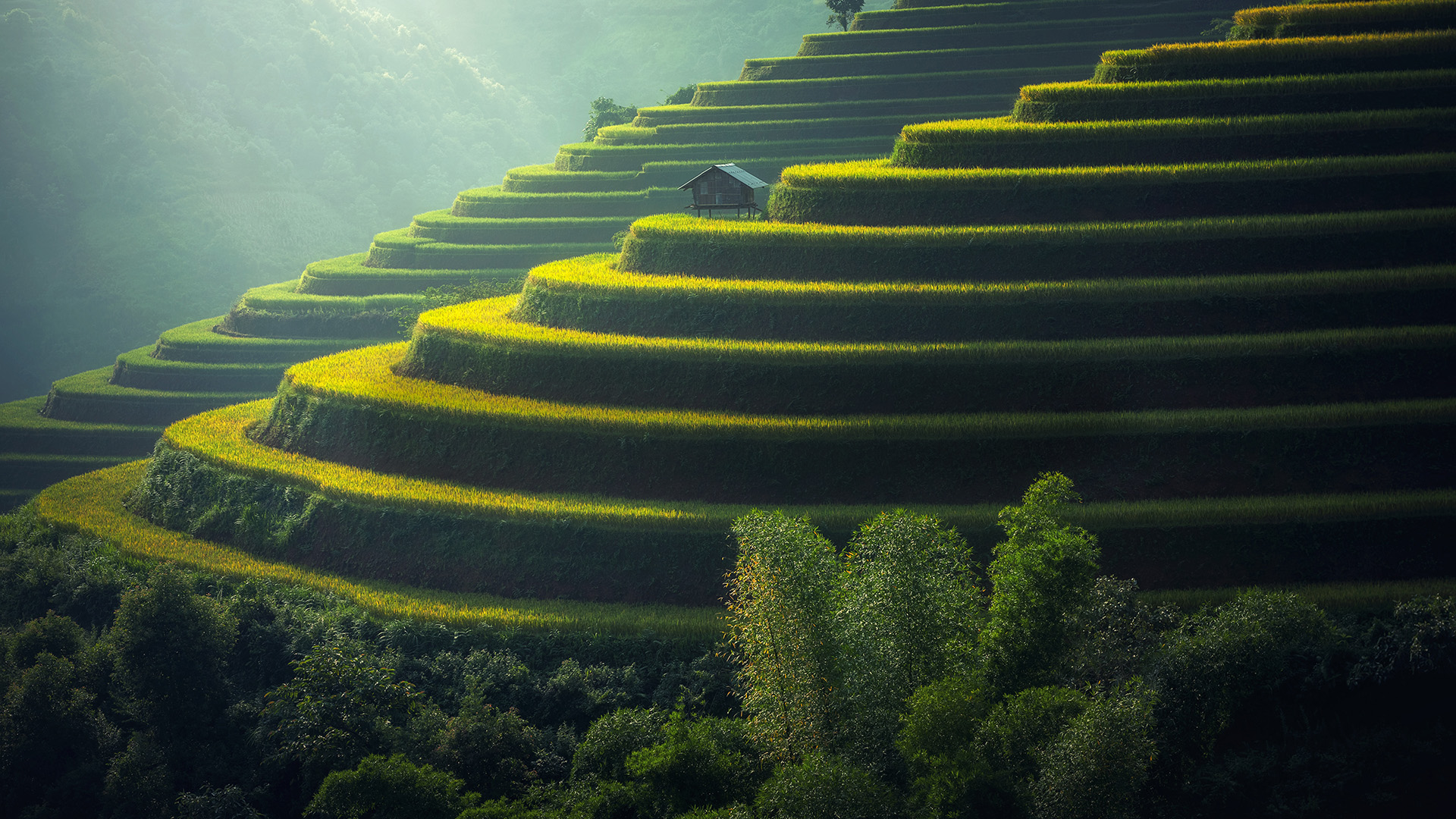 Jade Hill Investments